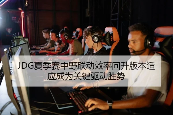 JDG夏季赛中野联动效率回升版本适应成为关键驱动胜势